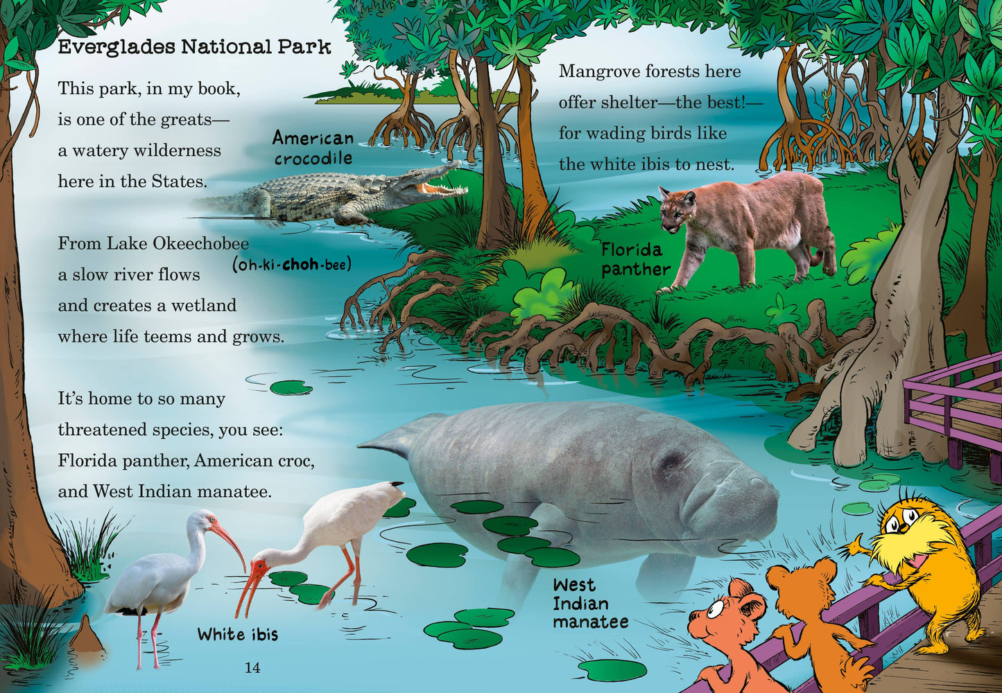 Explore the National Parks